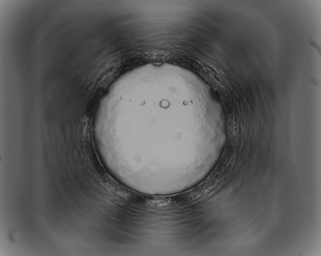 X0000094770511200712141601