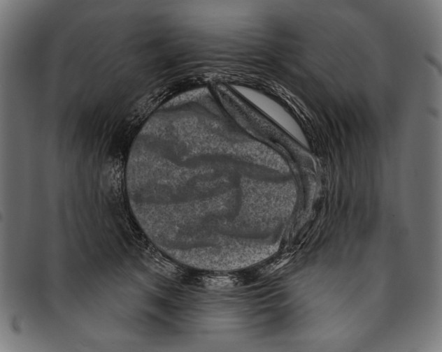 X0000094770513200712141601