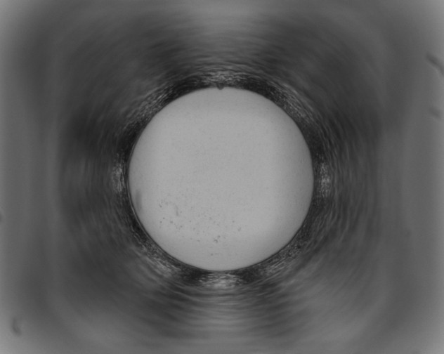 X0000094770514200712141601