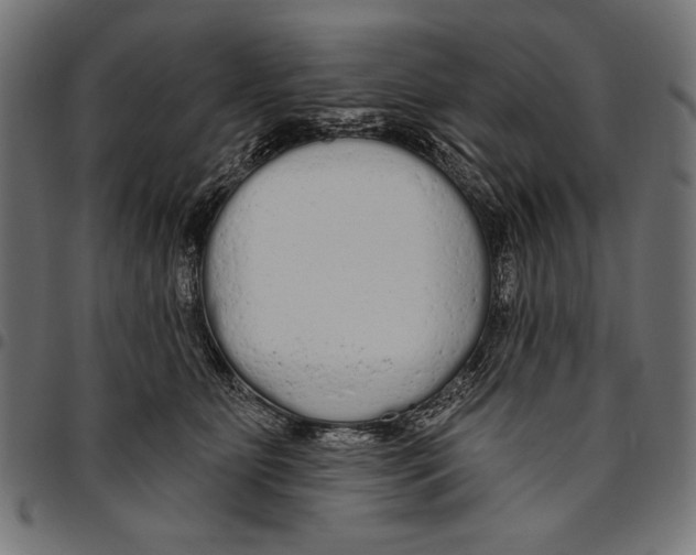 X0000094770515200712141601