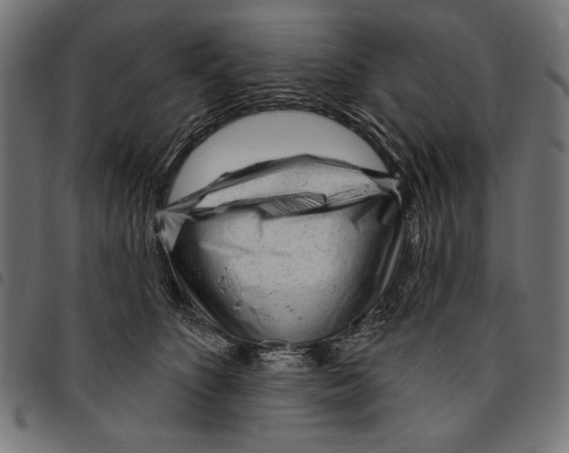 X0000094770516200712141601