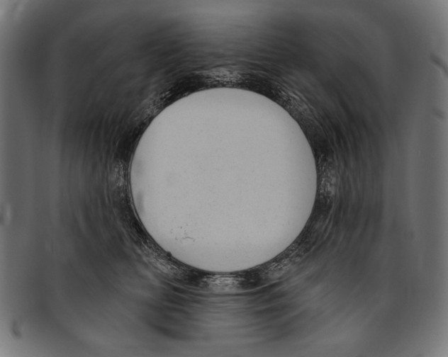 X0000094770518200712141601