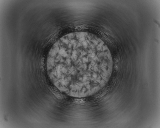 X0000094770519200712141600
