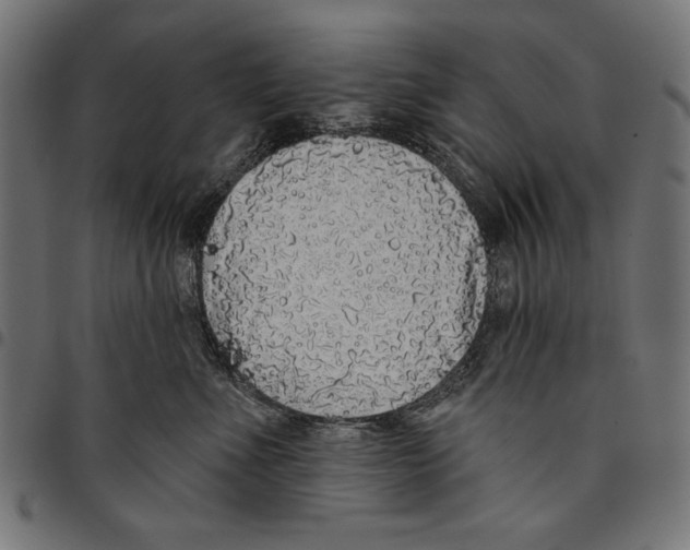 X0000094770523200712141600