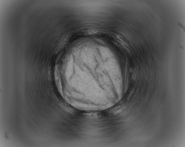 X0000094770524200712141600