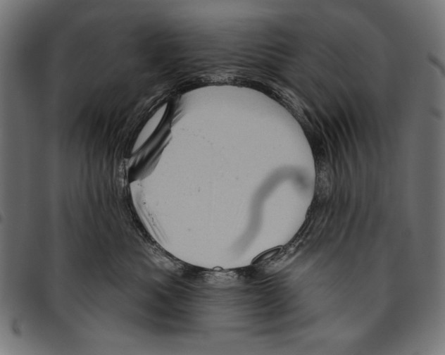 X0000094770525200712141600