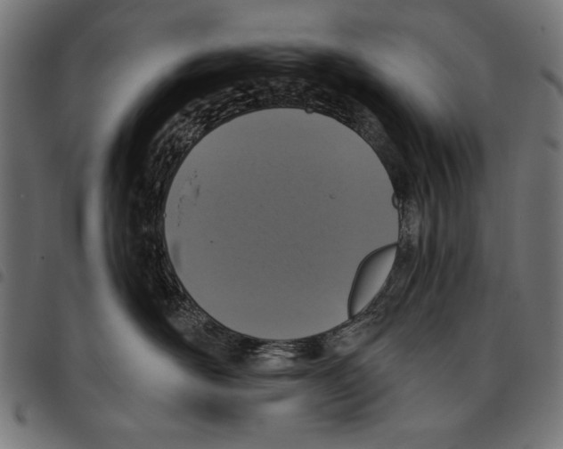 X0000094770526200712141600