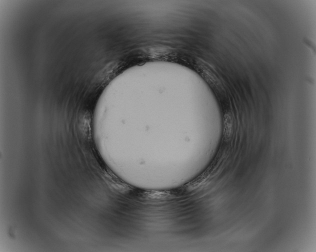 X0000094770527200712141600