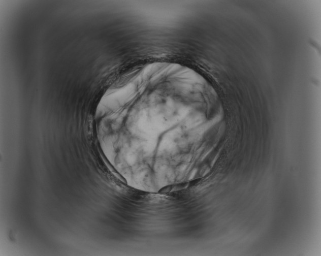 X0000094770528200712141600