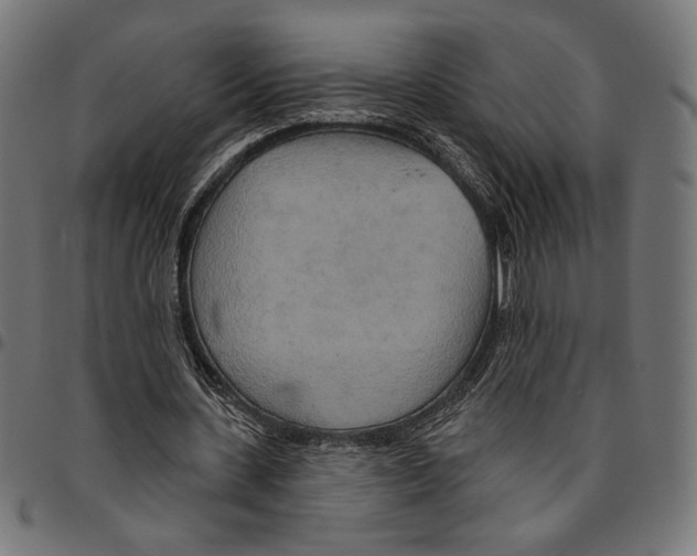 X0000094770531200712141600