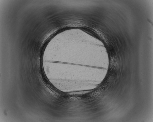 X0000094770535200712141600