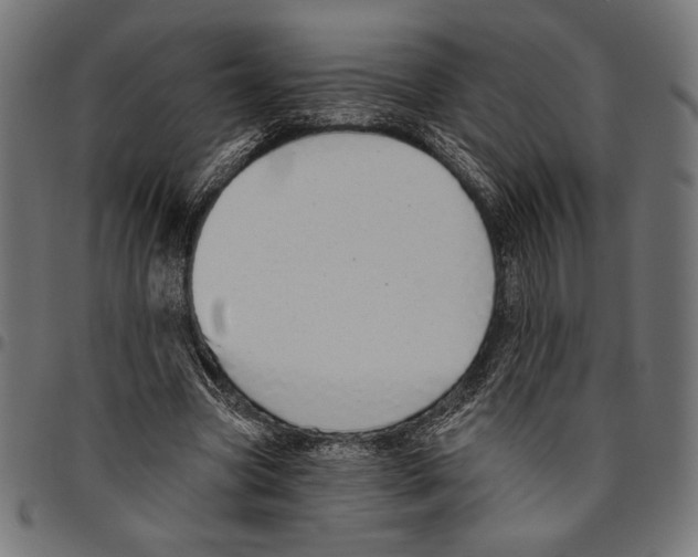 X0000094770537200712141600