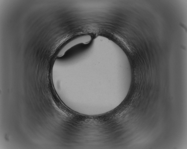 X0000094770538200712141600