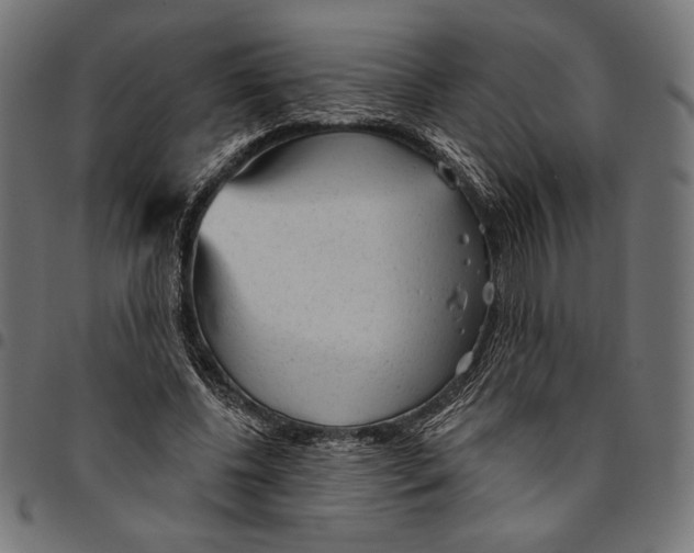 X0000094770540200712141600