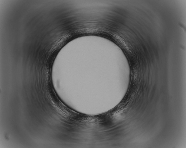 X0000094770542200712141600