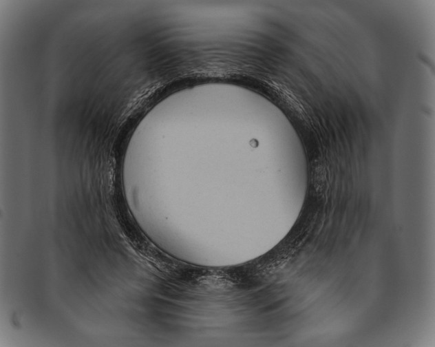 X0000094770544200712141600