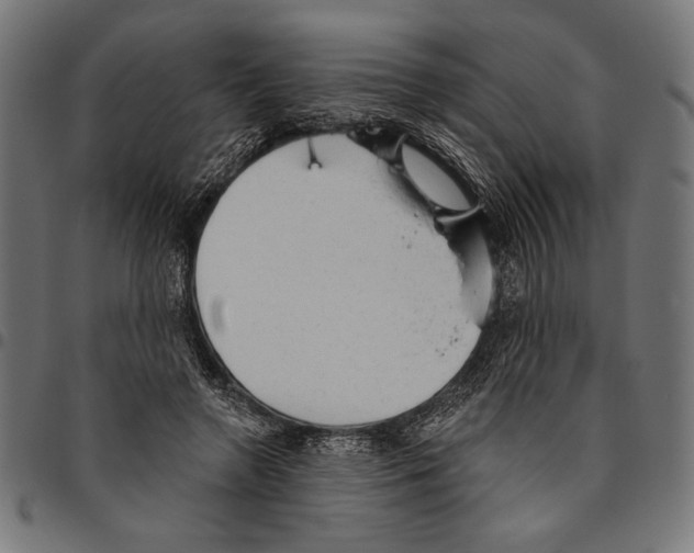 X0000094770546200712141600