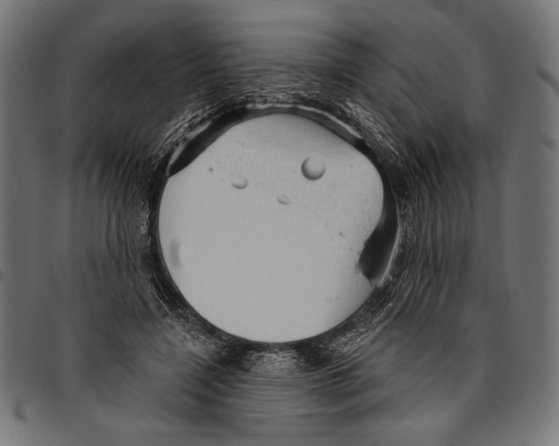 X0000094770548200712141600