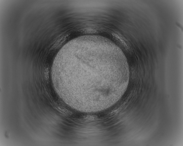 X0000094770549200712141600