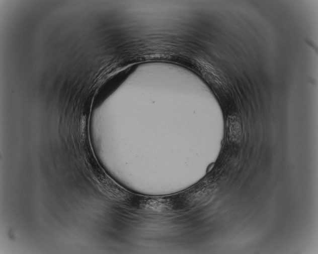 X0000094770550200712141600