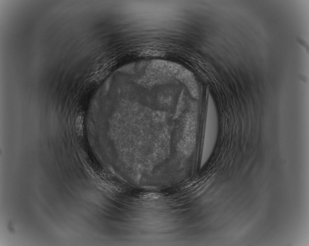 X0000094770551200712141600