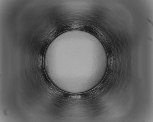 X0000094770554200712141600