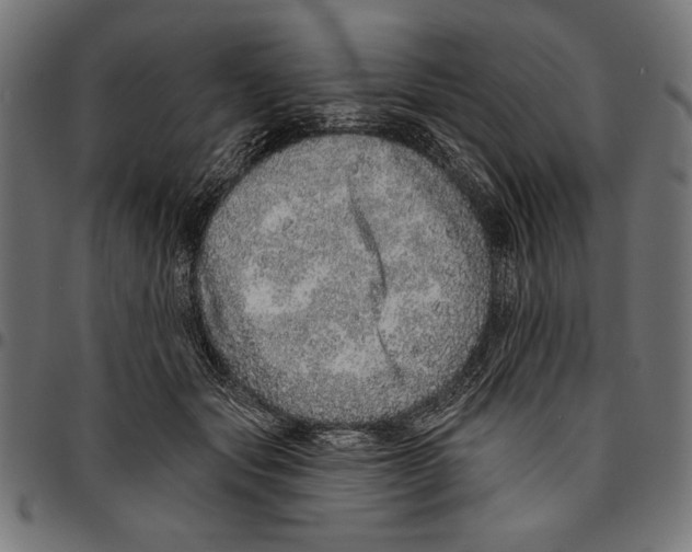 X0000094770557200712141600