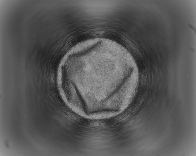 X0000094770561200712141600