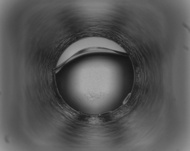 X0000094770562200712141600