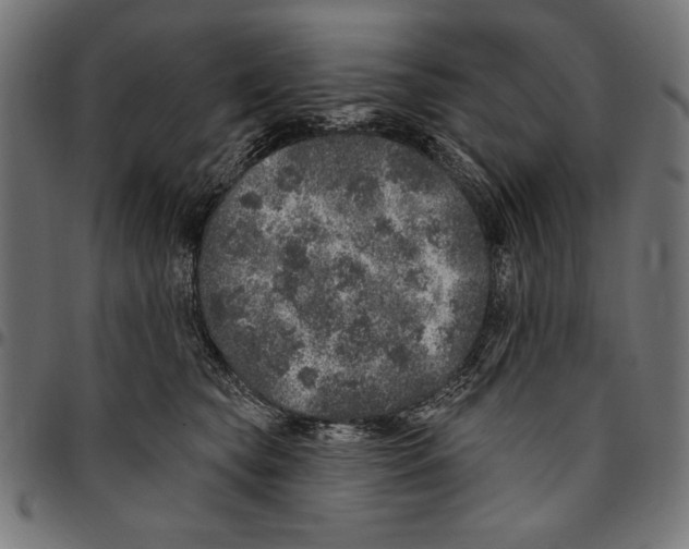 X0000094770565200712141600