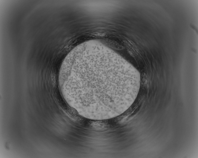 X0000094770568200712141600