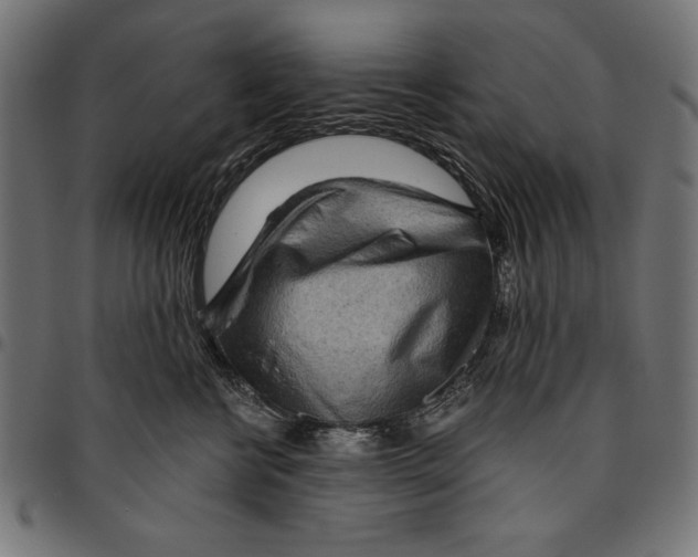 X0000094770570200712141600