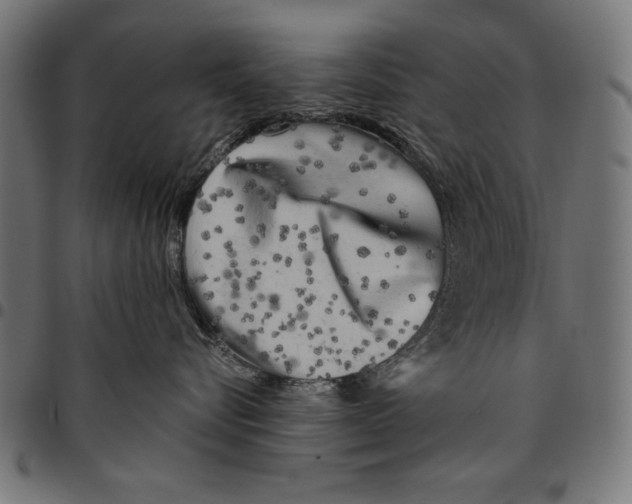 X0000094770576200712141600