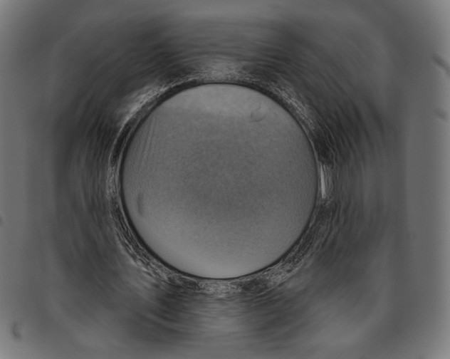 X0000094770579200712141559