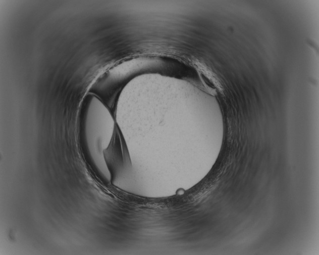 X0000094770580200712141559