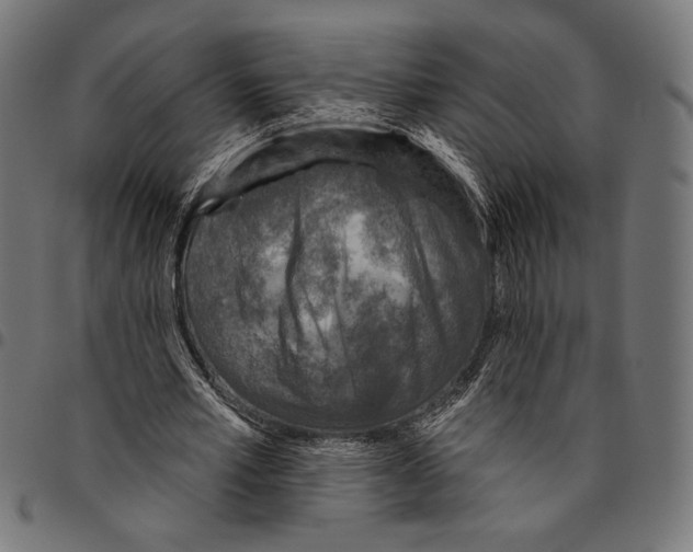 X0000094770581200712141559