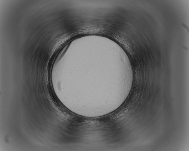 X0000094770582200712141559