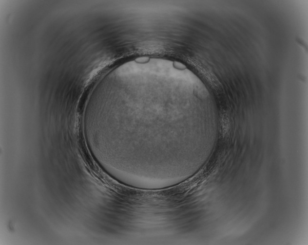 X0000094770583200712141559