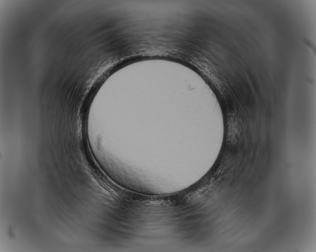 X0000094770584200712141559