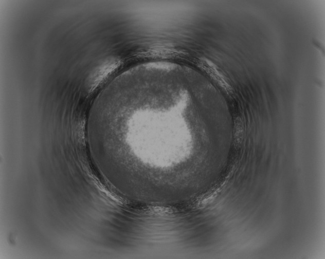 X0000094770585200712141559