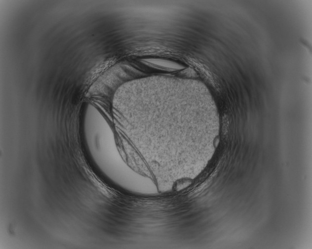 X0000094770589200712141559