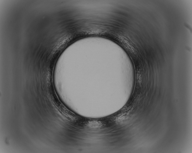 X0000094770591200712141559