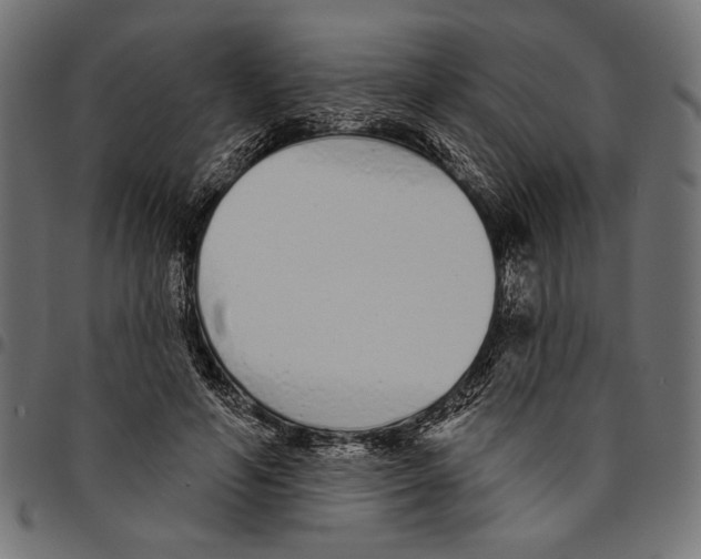 X0000094770594200712141559