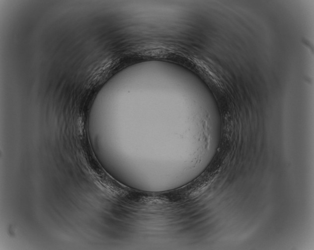 X0000094770597200712141559