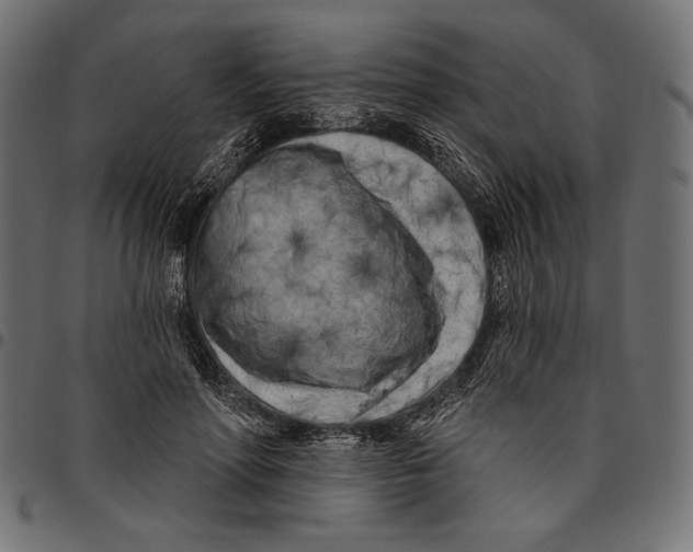 X0000094770598200712141559