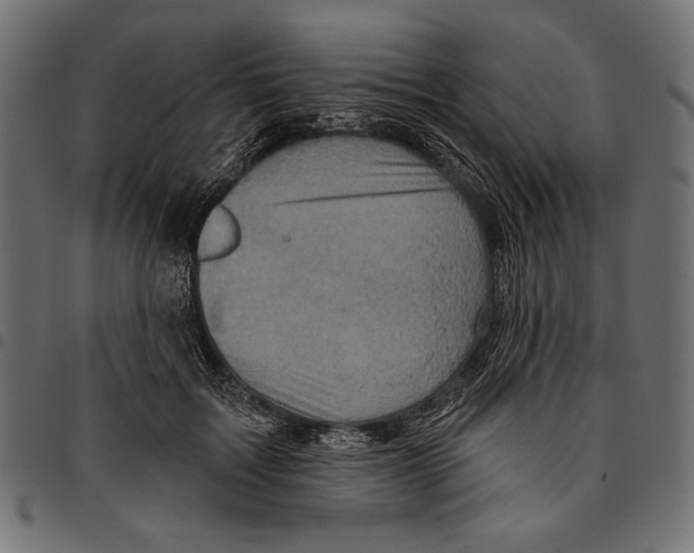 X0000094770603200712141559