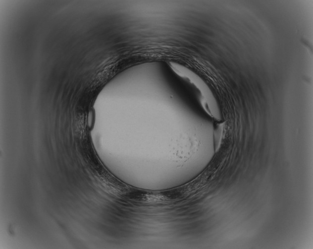 X0000094770605200712141559