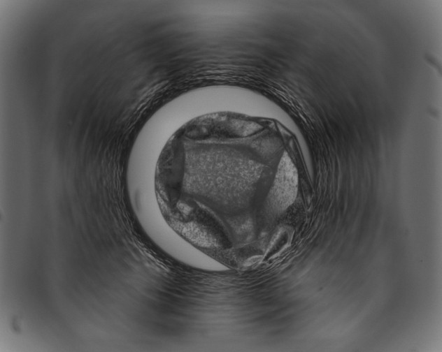 X0000094770609200712141559