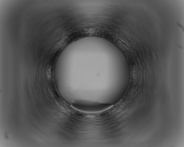 X0000094770611200712141559