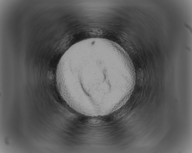 X0000094770614200712141559